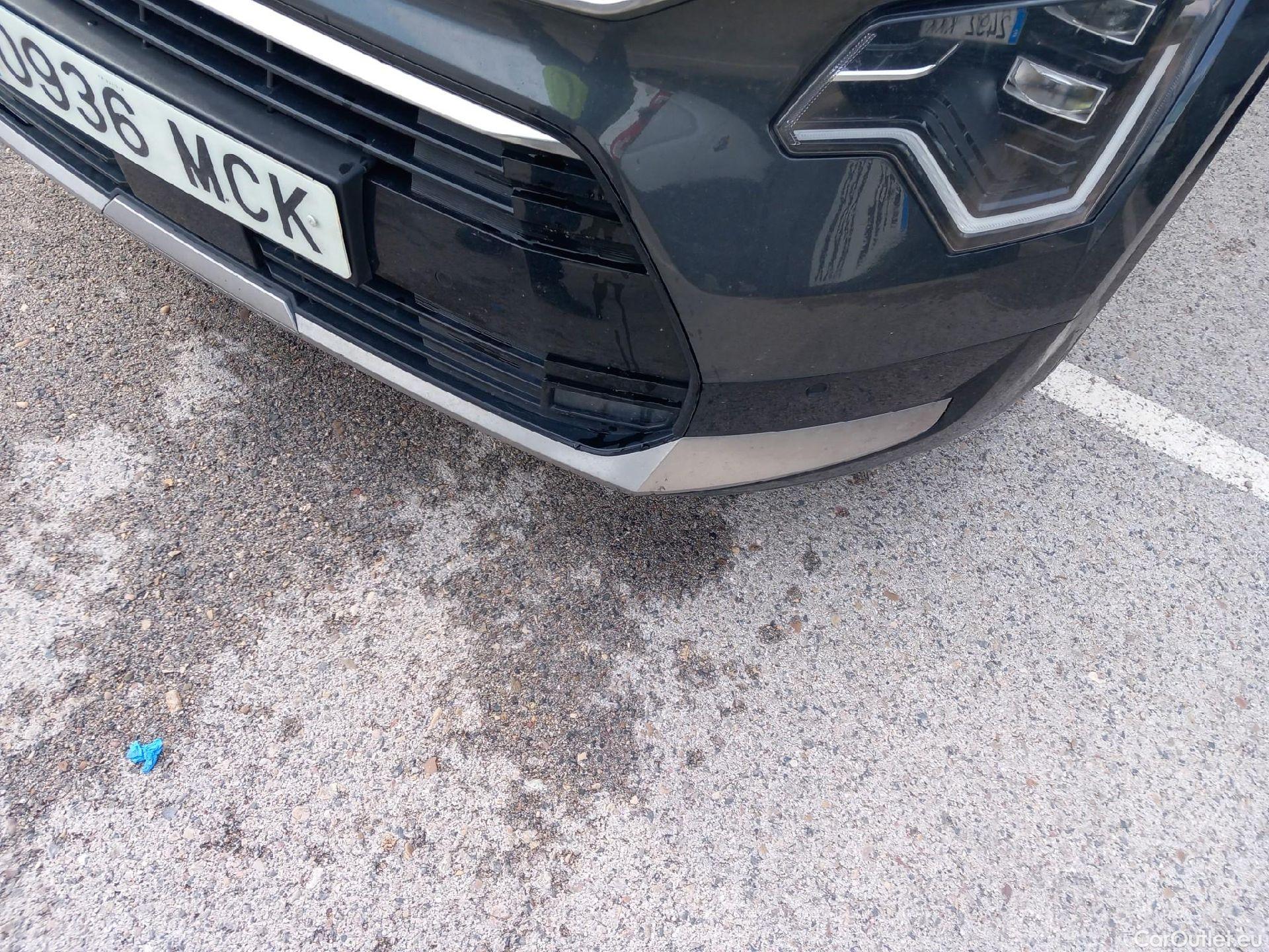  KIA  Niro  Hybrid Drive 1.6 AT6 E6d #8