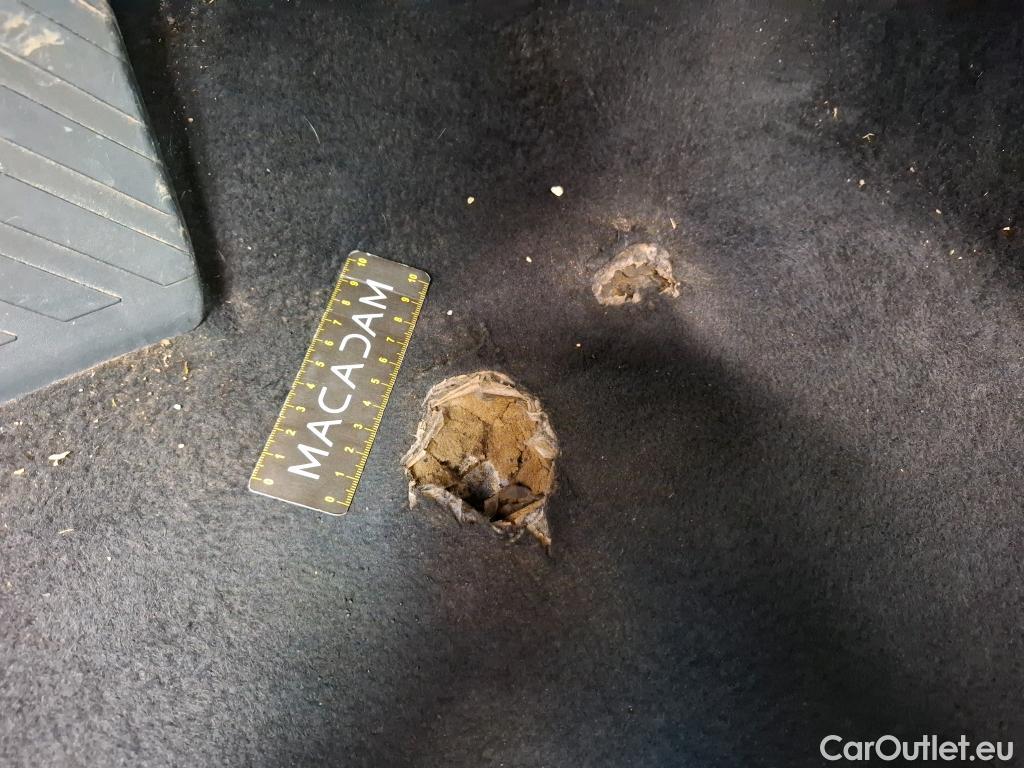  Skoda  Octavia  Berline Business 2.0 TDI 115CV BVM6 E6d #3