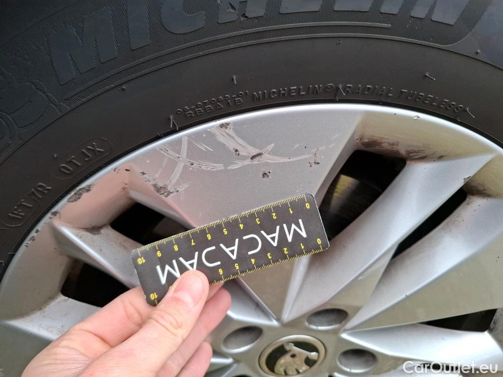  Skoda  Octavia  Berline Business 2.0 TDI 115CV BVM6 E6d #15