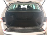  Skoda  Kodiaq  Business 2.0 TDI 150CV BVA7 E6dT #10