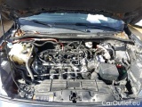  Ford  Kuga 2.5 DURATEC FHEV 190PS E85 ST-LINE X CVT #22