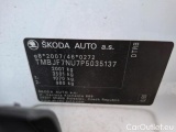  Skoda  Karoq 2.0 TDI 116 DSG7 BUSINESS #8