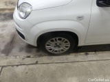  Fiat  Panda  Easy 1.2 51KW MT5 E6dT #29