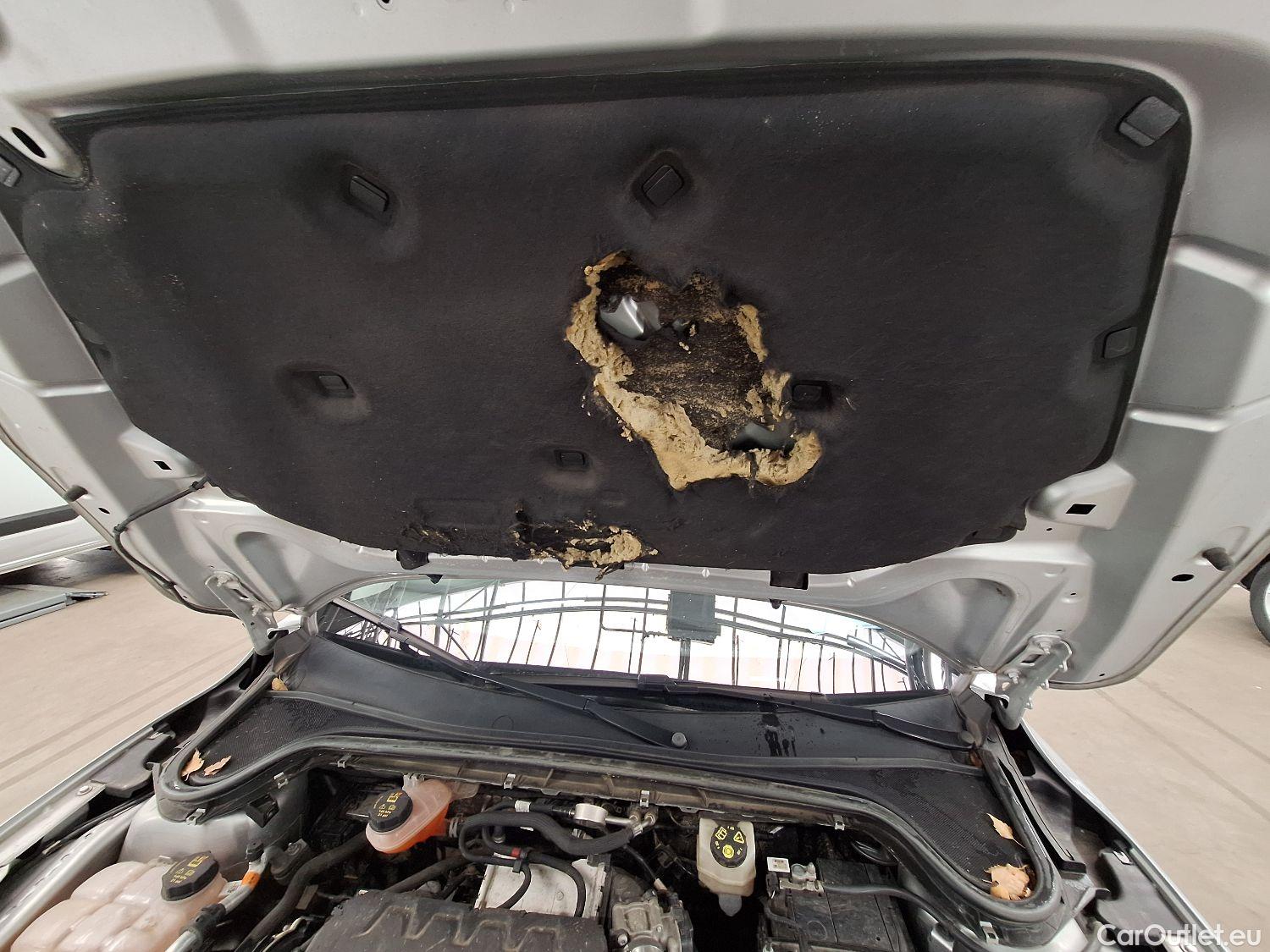  Ford  Focus Ford,  SW '18, Ford  Clipper 1.5 EcoBlue 88kW Aut. Trend Ed. #18