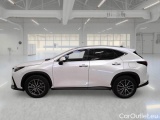  Lexus  NX LEXUS  / 2021 / 5P / SUV HYBRID PREMIUM 4WD MY22 #8
