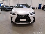  Lexus  NX LEXUS  / 2021 / 5P / SUV HYBRID PREMIUM 4WD MY22 #31