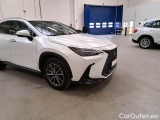  Lexus  NX LEXUS  / 2021 / 5P / SUV HYBRID PREMIUM 4WD MY22 #34