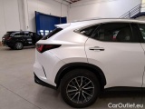  Lexus  NX LEXUS  / 2021 / 5P / SUV HYBRID PREMIUM 4WD MY22 #42