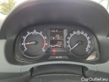  Skoda  Fabia  3 (2015)  1.0TSI 70 Active #19