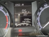  Skoda  Fabia  3 (2015)  1.0TSI 70 Active #20
