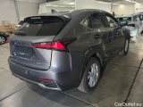  Lexus  NX LEXUS  300h Business Line 5d 114kW #2