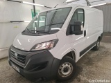 Ducato