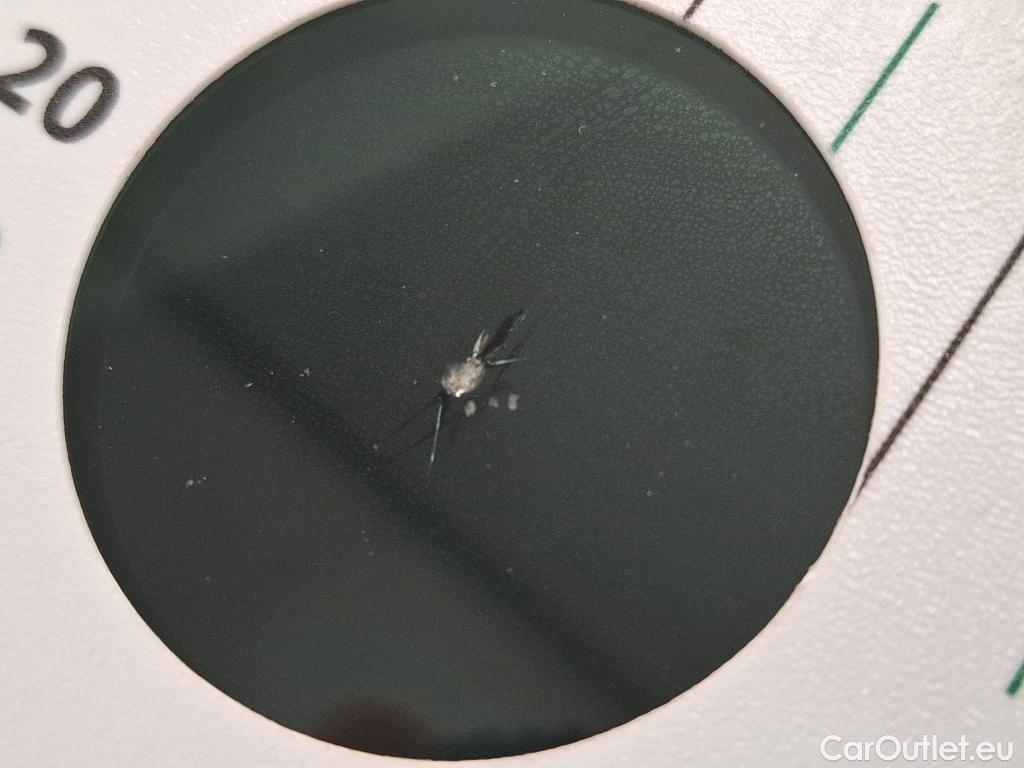  Renault  Clio  V Société Air Nav 1.5 dCi 85CV BVM6 E6dT #15