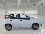  Fiat  Panda FIAT  / 2011 / 5P / BERLINA 1.2 69CV E6 EASY #7