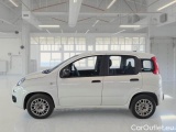  Fiat  Panda FIAT  / 2011 / 5P / BERLINA 1.2 69CV E6 EASY #8