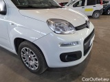  Fiat  Panda FIAT  / 2011 / 5P / BERLINA 1.2 69CV E6 EASY #34