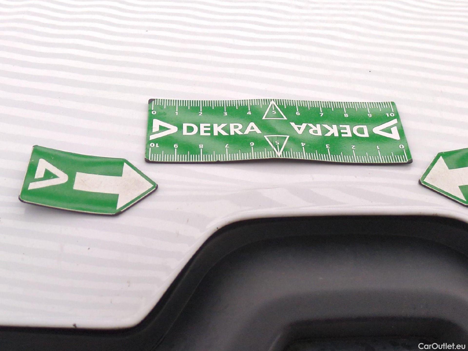  Renault  Kangoo  Express Maxi Grand Confort 1.5 dCi 115CV BVM6 E6dT #34