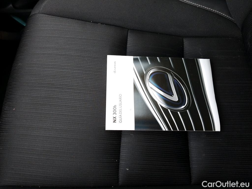  Lexus  NX LEXUS  / 2017 / 5P / todoterreno 2.5 300h Business Navigation 2WD #14