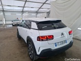 C4 Cactus