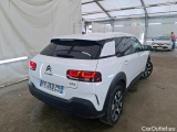 C4 Cactus