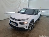 C4 Cactus