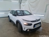 C4 Cactus