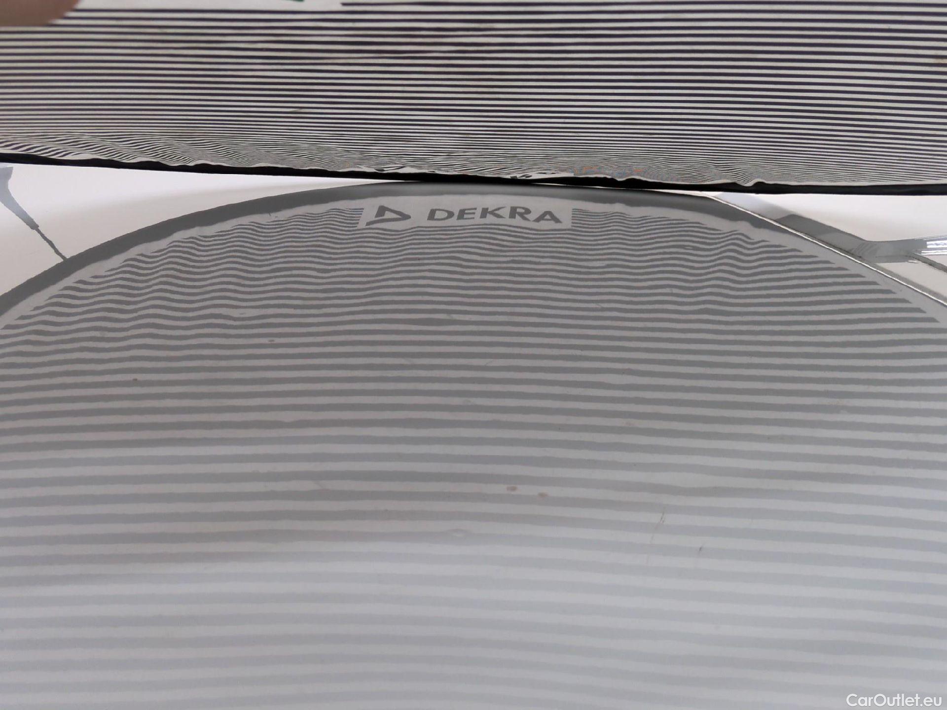  Renault  Trafic  Fourgon L1H1 1000 Confort 1.6 dCi #34