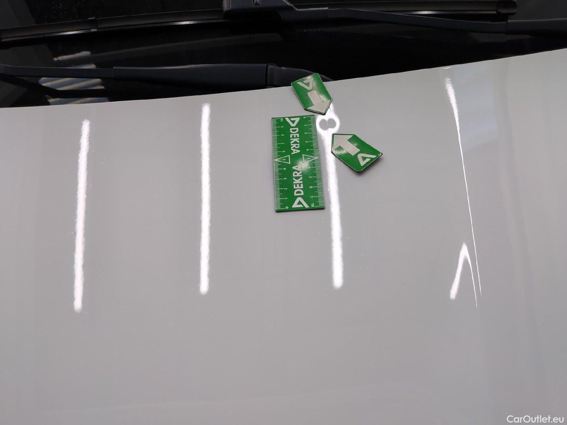  Renault  Trafic  Fourgon L2H1 3T Grand Confort 2.0 dCi 130CV BVM6 E6d #10