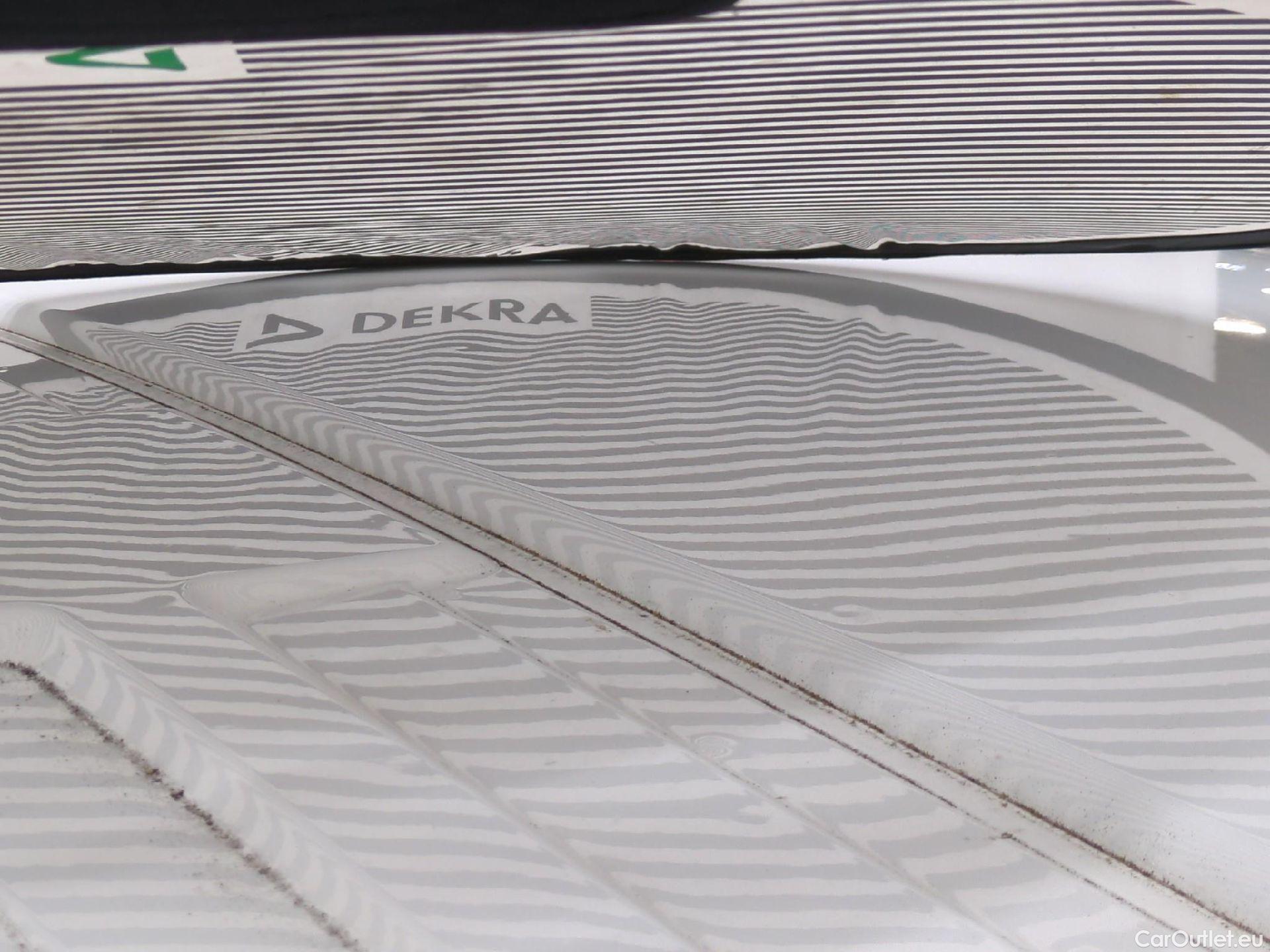  Renault  Trafic  Fourgon L1H1 1000 Confort 1.6 dCi #33