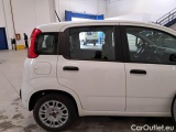  Fiat  Panda FIAT  / 2011 / 5P / BERLINA 1.0 70CV SeS HYBRID #57
