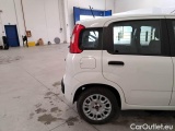  Fiat  Panda FIAT  / 2011 / 5P / BERLINA 1.0 70CV SeS HYBRID #62