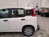  Fiat  Panda FIAT  / 2011 / 5P / BERLINA 1.0 70CV SeS HYBRID #79