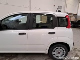  Fiat  Panda FIAT  / 2011 / 5P / BERLINA 1.0 70CV SeS HYBRID #83