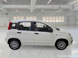  Fiat  Panda FIAT  / 2011 / 5P / BERLINA 1.0 FIREFLY 70CV SeS HYBRID #7