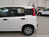  Fiat  Panda FIAT  / 2011 / 5P / BERLINA 1.2 69CV SeS E6D-TEMP EASY #51