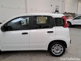  Fiat  Panda FIAT  / 2011 / 5P / BERLINA 1.2 69CV SeS E6D-TEMP EASY #54
