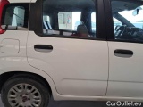  Fiat  Panda FIAT  / 2011 / 5P / BERLINA 1.0 70CV SeS HYBRID #56