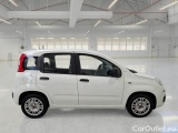  Fiat  Panda FIAT  / 2011 / 5P / BERLINA 1.0 FIREFLY 70CV SeS HYBRID #7
