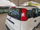  Fiat  Panda FIAT  / 2011 / 5P / BERLINA 1.0 FIREFLY 70CV SeS HYBRID CITY LIFE #58