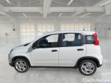  Fiat  Panda FIAT  / 2011 / 5P / BERLINA 1.0 FIREFLY 70CV SeS HYBRID #7