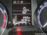  Skoda  Fabia  3 (2015)  1.0TSI 70 Active #19
