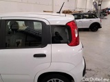  Fiat  Panda FIAT  / 2012 / 5P / BERLINA 1.0 70CV HYBRID EURO 6D VAN 4 P. EASY #47