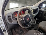  Fiat  Panda FIAT  / 2012 / 5P / BERLINA 1.2 69 CV VAN 2 POSTI EURO6 POP #3