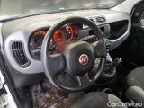  Fiat  Panda FIAT  / 2012 / 5P / BERLINA 1.0 70CV HYBRID EURO 6D VAN 4 P. STREET #3