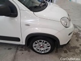  Fiat  Panda FIAT  / 2012 / 5P / BERLINA 1.0 70CV HYBRID EURO 6D VAN 4 P. STREET #36