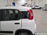  Fiat  Panda FIAT  / 2012 / 5P / BERLINA 1.0 70CV HYBRID EURO 6D VAN 4 P. STREET #51