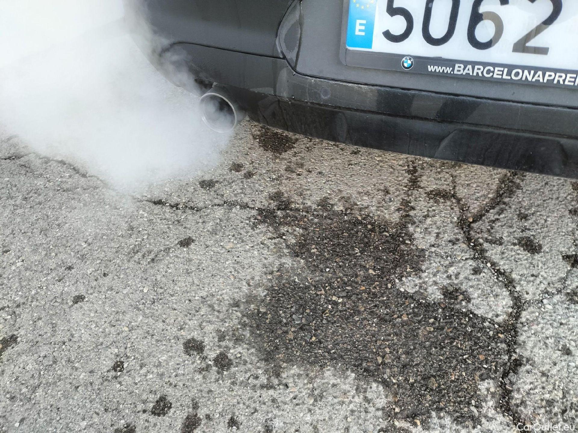  Bmw  X2 BMW   sDrive18i (CX3) #27