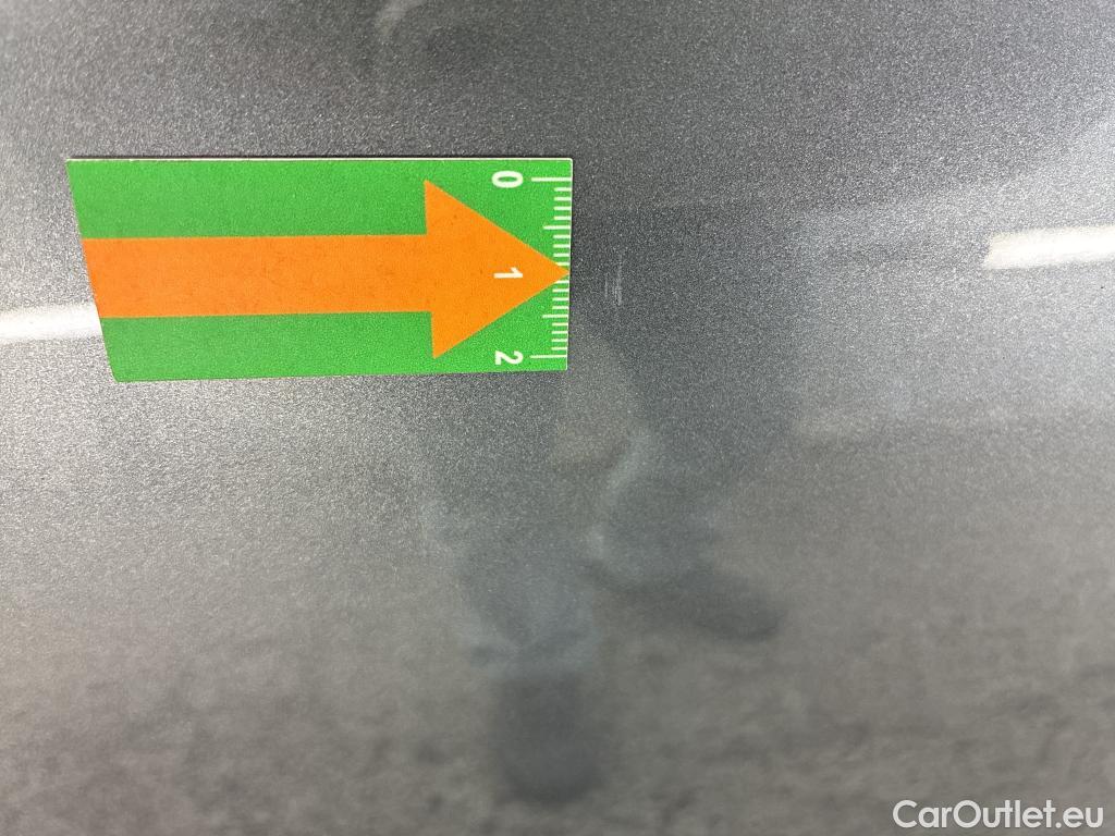  Skoda  Kodiaq  Business 2.0 TDI 150CV BVA7 E6d #23