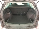  Skoda  Kodiaq  Business 2.0 TDI 150CV BVA7 E6d #10