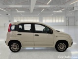  Fiat  Panda FIAT  / 2011 / 5P / BERLINA 1.2 69CV SeS E6D-TEMP EASY #7
